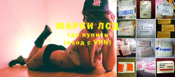 ГАЛЛЮЦИНОГЕННЫЕ ГРИБЫ Бородино