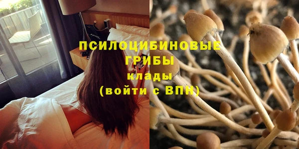 метадон Верея