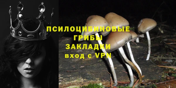 MDMA Верхний Тагил