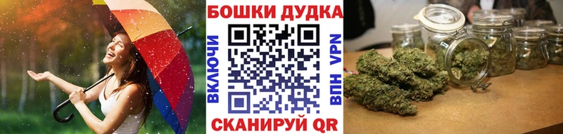 Купить где  Ахтырский  Бошки Шишки гибрид 